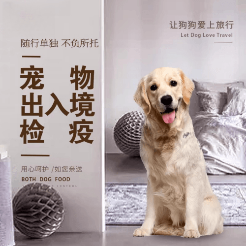 南充市宠物托运到哥伦比亚猫狗宠物入境规定和