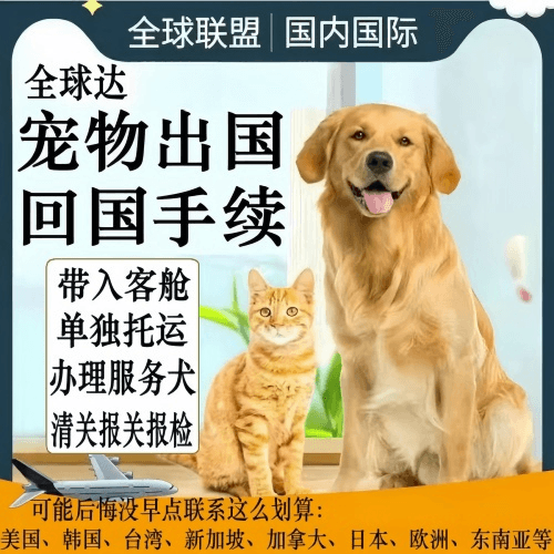 南充市宠物托运到柬埔寨宠物入境规定和要求