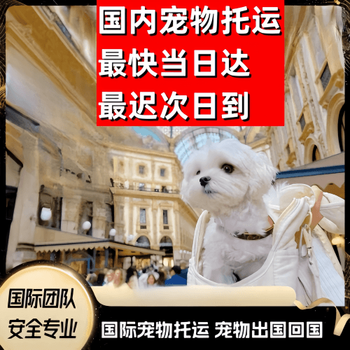 南充市到澳大利亚（澳洲）宠物入境规定和要求