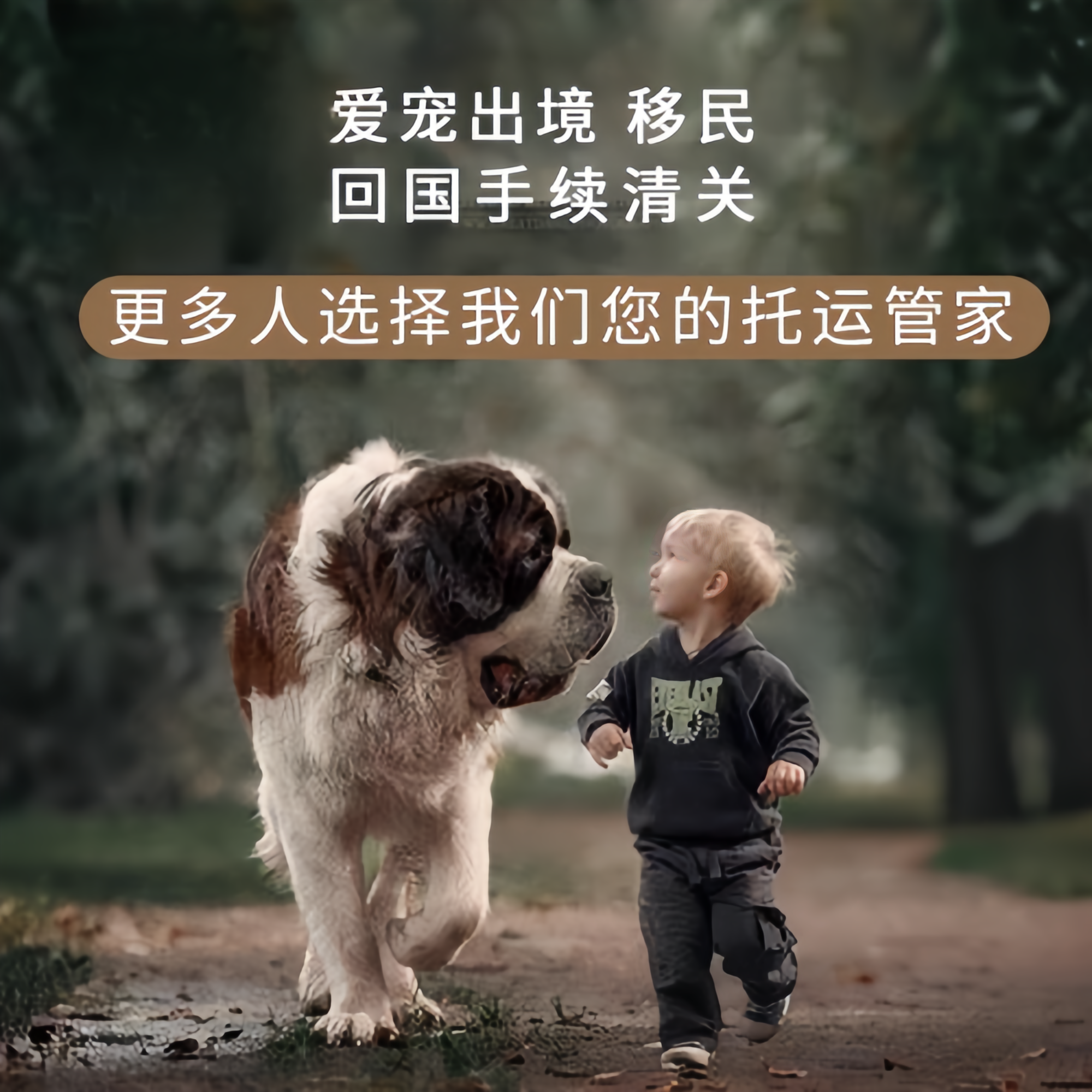 满财南充市宠物全球达宠物托运在遵守入境目的地政策的条件