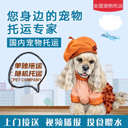 满财南充市宠物全球达宠物托运作为专业的宠物运输代理机构
